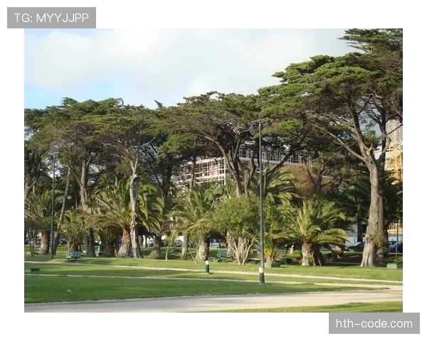 埃斯托里尔战术解析:成功之道与未来前景引关注 埃斯托里尔战术解析:成功之道与未来前景引关注