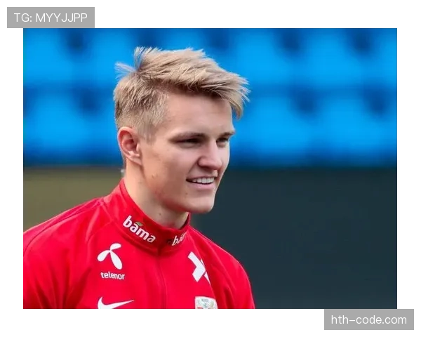 厄德高与B费创造力构成及战术结构差异分析 厄德高与B费创造力构成及战术结构差异分析